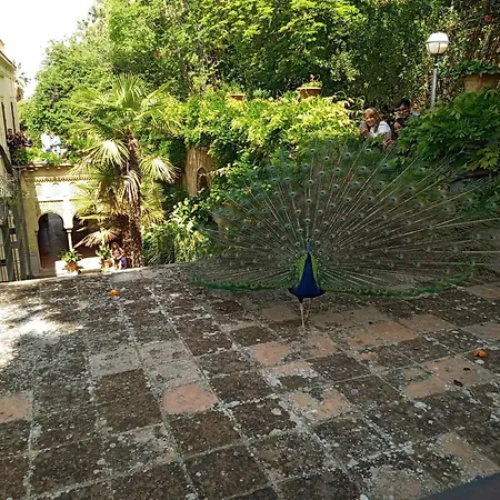 El Tero Y El Hornero Frente Apartment Albolote